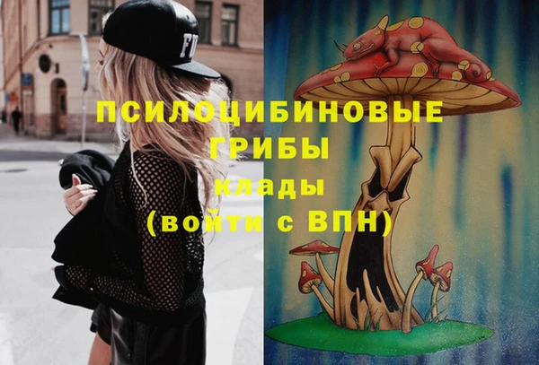 прущая мука Гусь-Хрустальный
