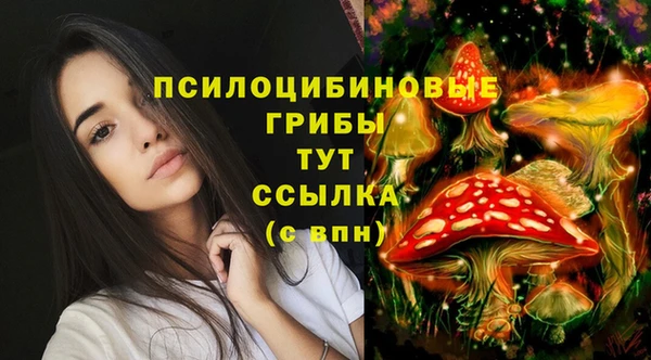 спайс Горнозаводск