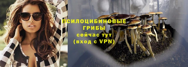 трава Горно-Алтайск